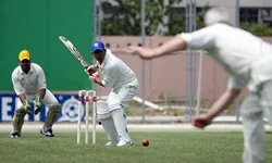 Cricket T20 betting